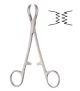 Lane towel forceps toothed 19.5cm 1x2 teeth