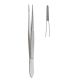 Dissecting forceps delicate 11.5cm serrated