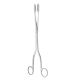 Winter ovum forceps, 28cm - straight 8mm