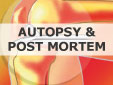 Autopsy & Post Mortem Instruments