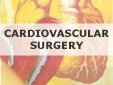 Cardiovascular and Thoracic Surgery Instruments